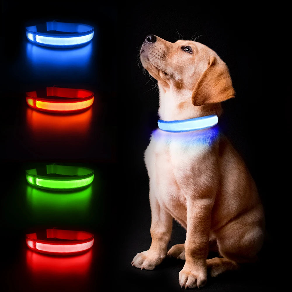 MASBRILL Dog Collar Luminous  Water poof Safety Collars