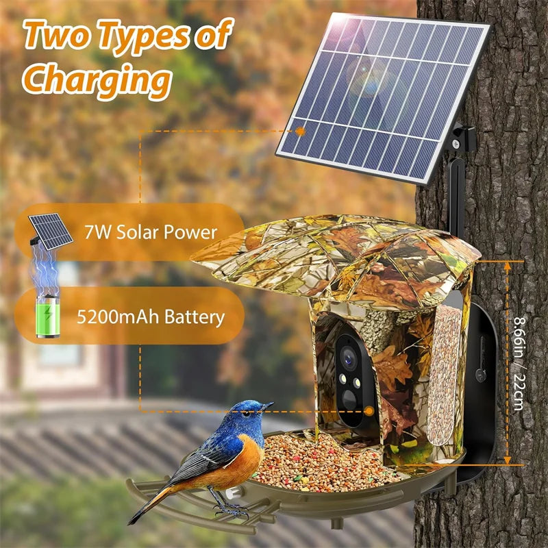 Smart Bird Feeder Camera Solar Powered Bird Watching  Wireless Outdoor 1080P HD 7W Solar Panel Bird Species