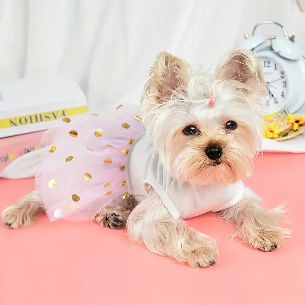 Dog Summer Dress Cat Lace Skirt Pet Clothing Princess Apparel Cute Puppy