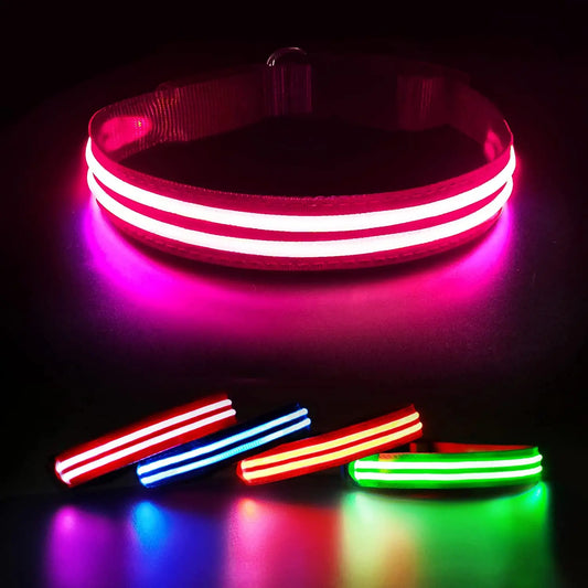 MASBRILL LED Rechargeable Dog Collar 100% Waterproof Glow in the Dark Flashing Light