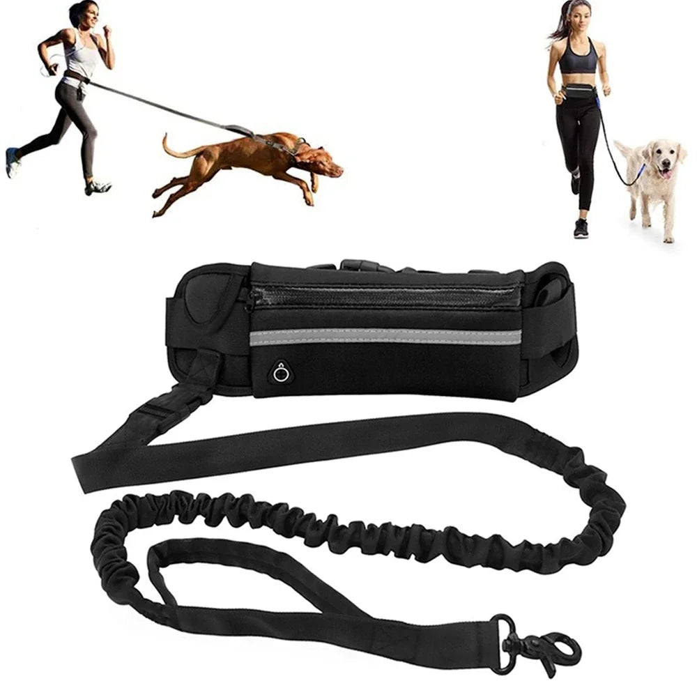 Hands Free Dog Leash for Running Walking Reflective with Waist Bag Retractable Elastic Belt