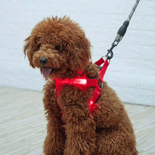 Stylish LED Electronic Pet Harness - Fashionable Glowing Vest and Flashing Light Pet Leash - Durable Nylon