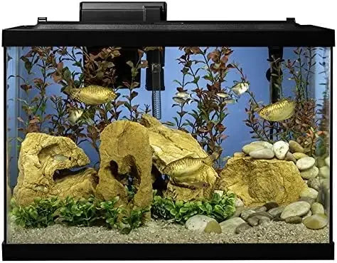 Aquarium 20 Gallon Fish Tank Kit, Includes LED Lighting and Decor