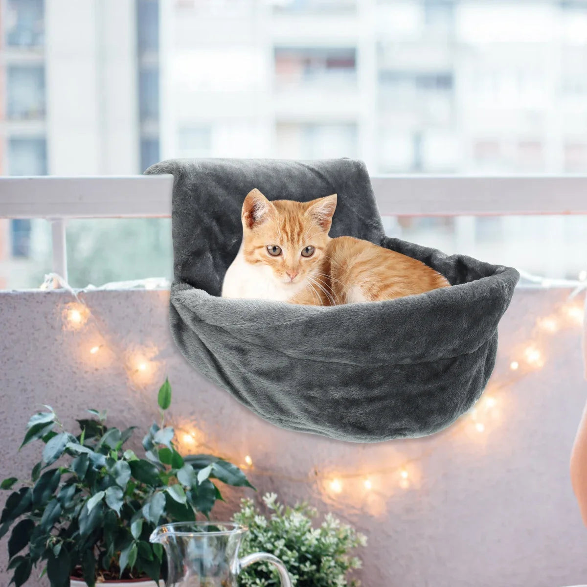 Pet Hanging Beds Cat Sunny Window Seat Mount Hammock Comfortable  Shelf Seat Winter Warm Cat Accessories