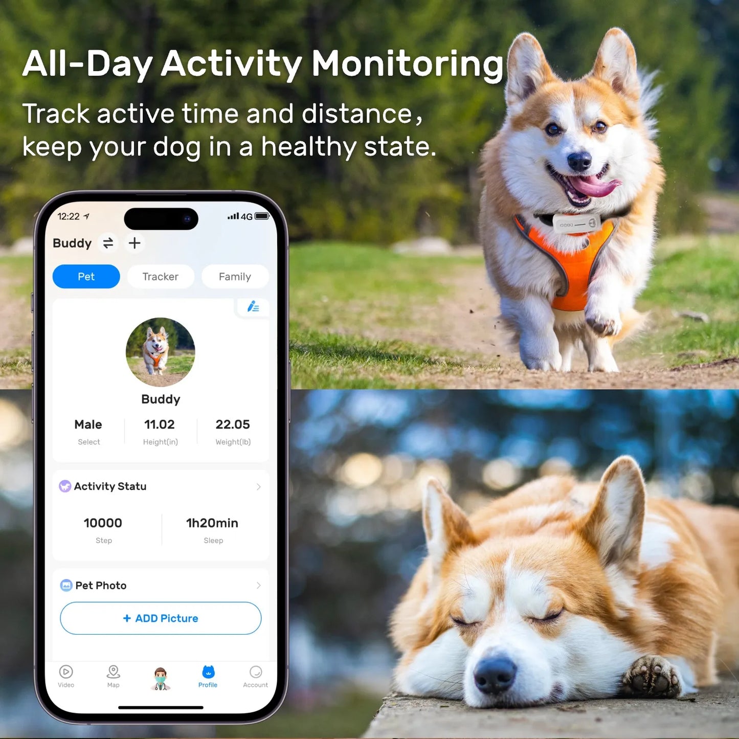 Smart Activity Tracker With Real-time Tracking fit for Any Collar Works On Android And iOS