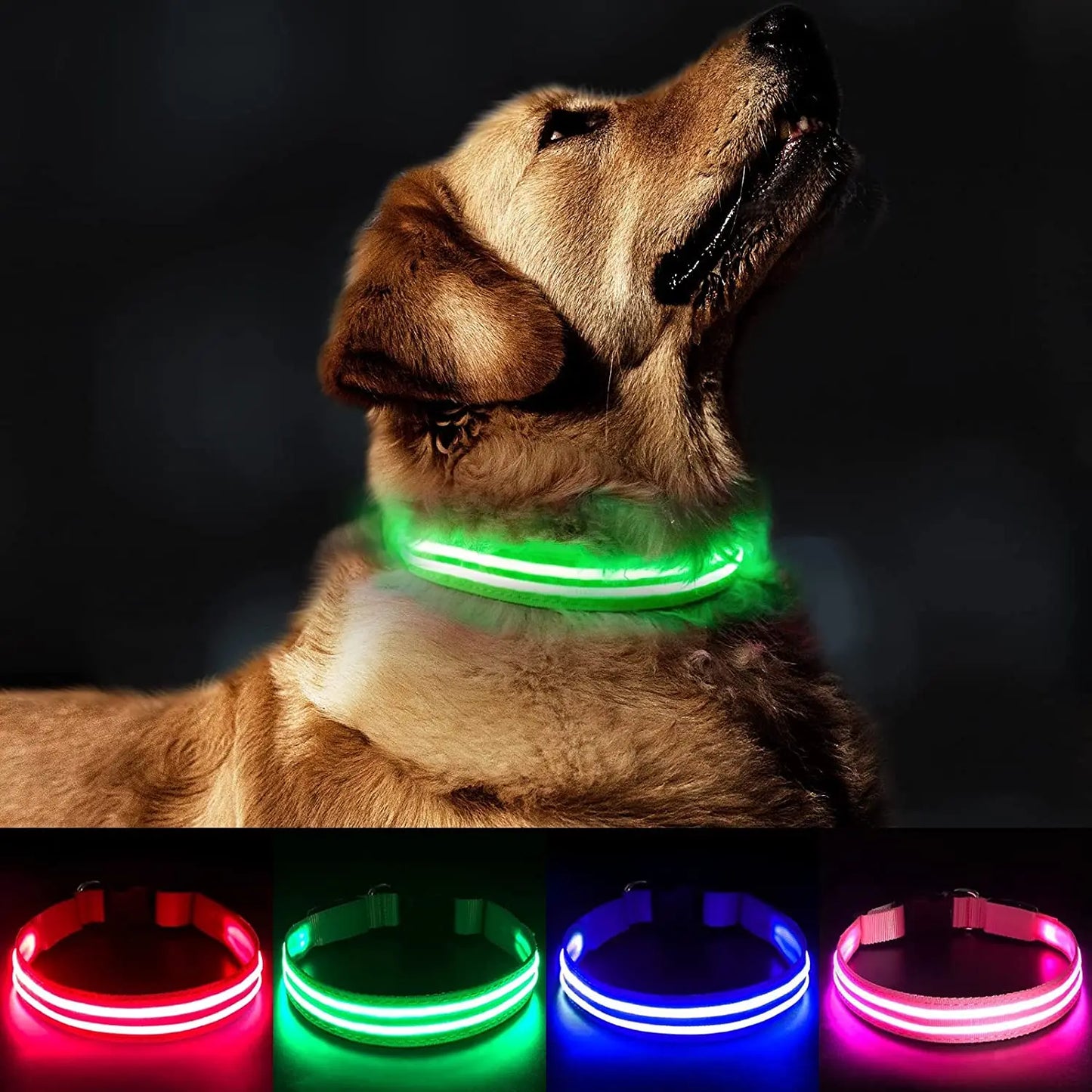 MASBRILL LED Rechargeable Dog Collar 100% Waterproof Glow in the Dark Flashing Light