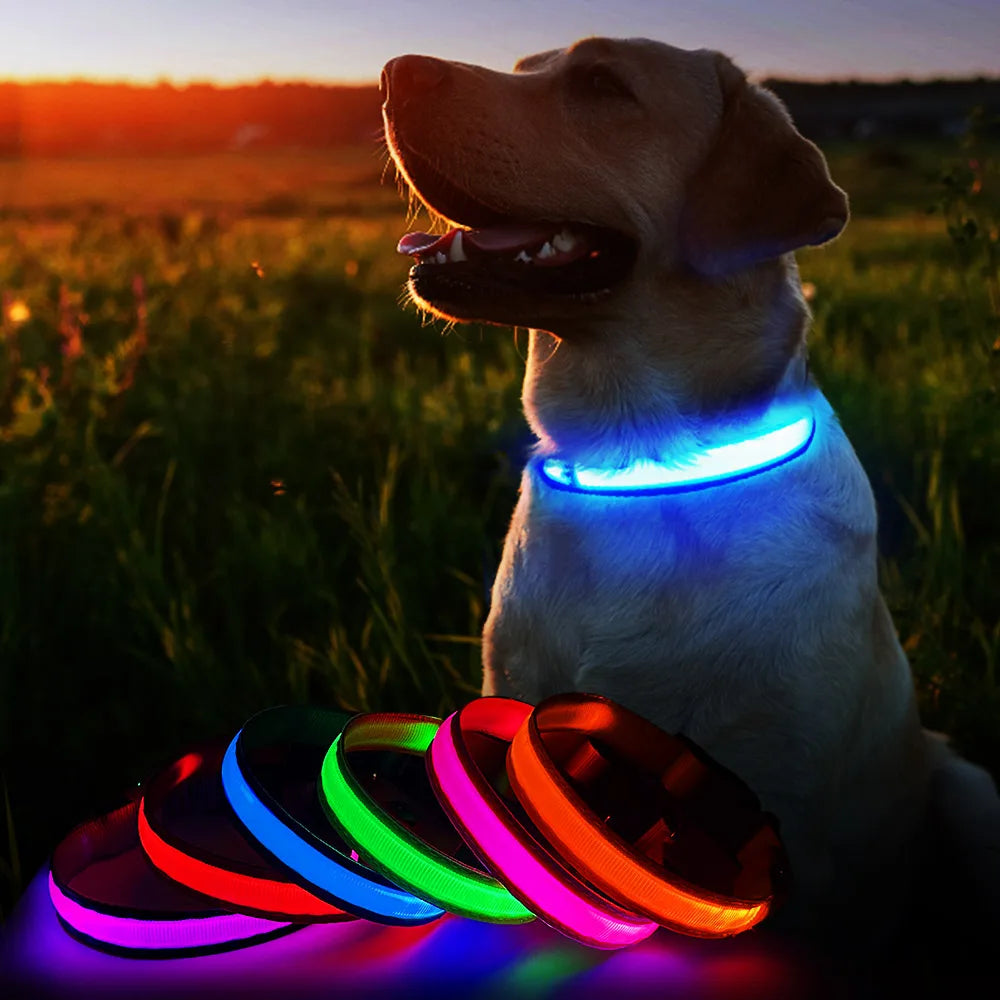 MASBRILL Dog Collar Luminous  Water poof Safety Collars