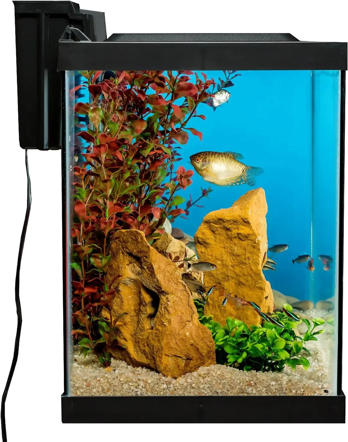 Aquarium 20 Gallon Fish Tank Kit, Includes LED Lighting and Decor