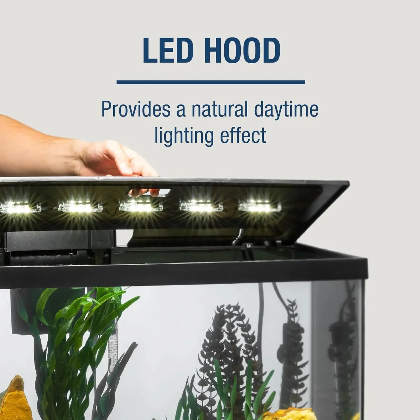 Aquarium 20 Gallon Fish Tank Kit, Includes LED Lighting and Decor