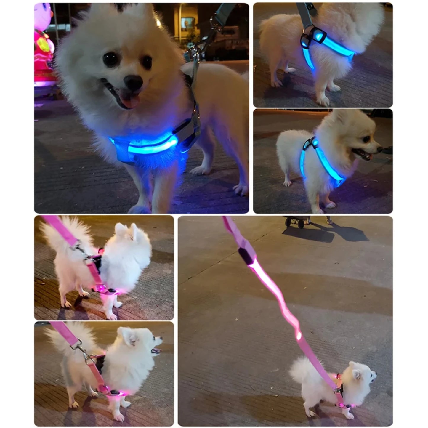 Stylish LED Electronic Pet Harness - Fashionable Glowing Vest and Flashing Light Pet Leash - Durable Nylon