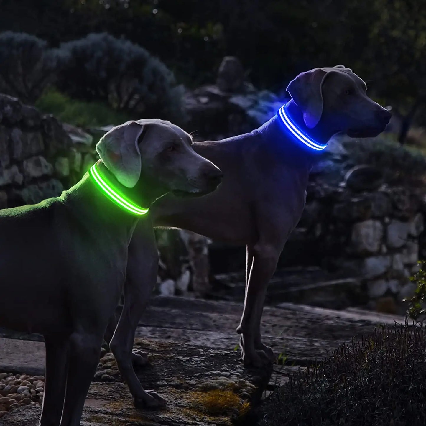 MASBRILL LED Rechargeable Dog Collar 100% Waterproof Glow in the Dark Flashing Light