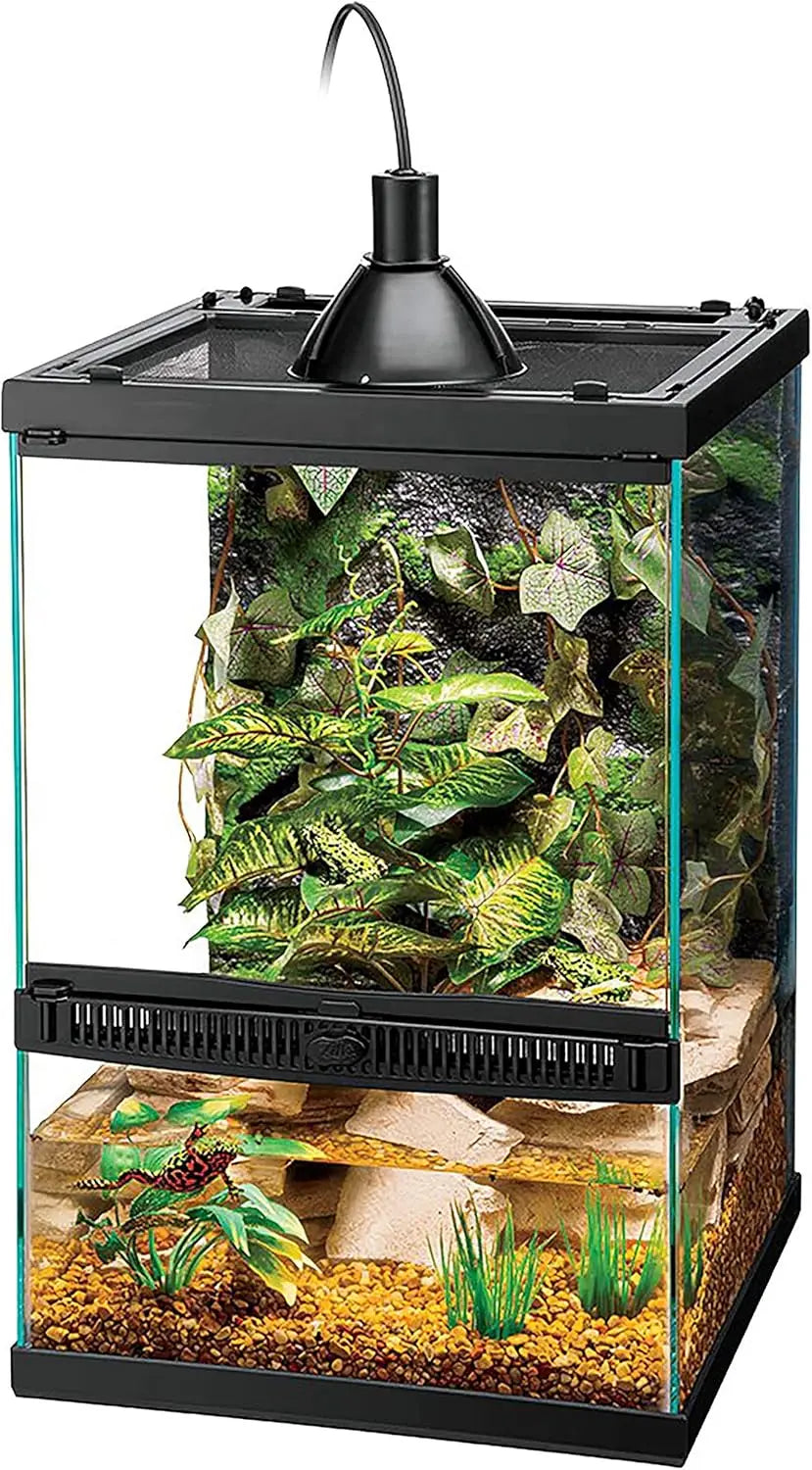 Tropical Vertical Habitat Starter Kit for Small  Reptiles & Amphibians Like Geckos and Frogs 11 GAL