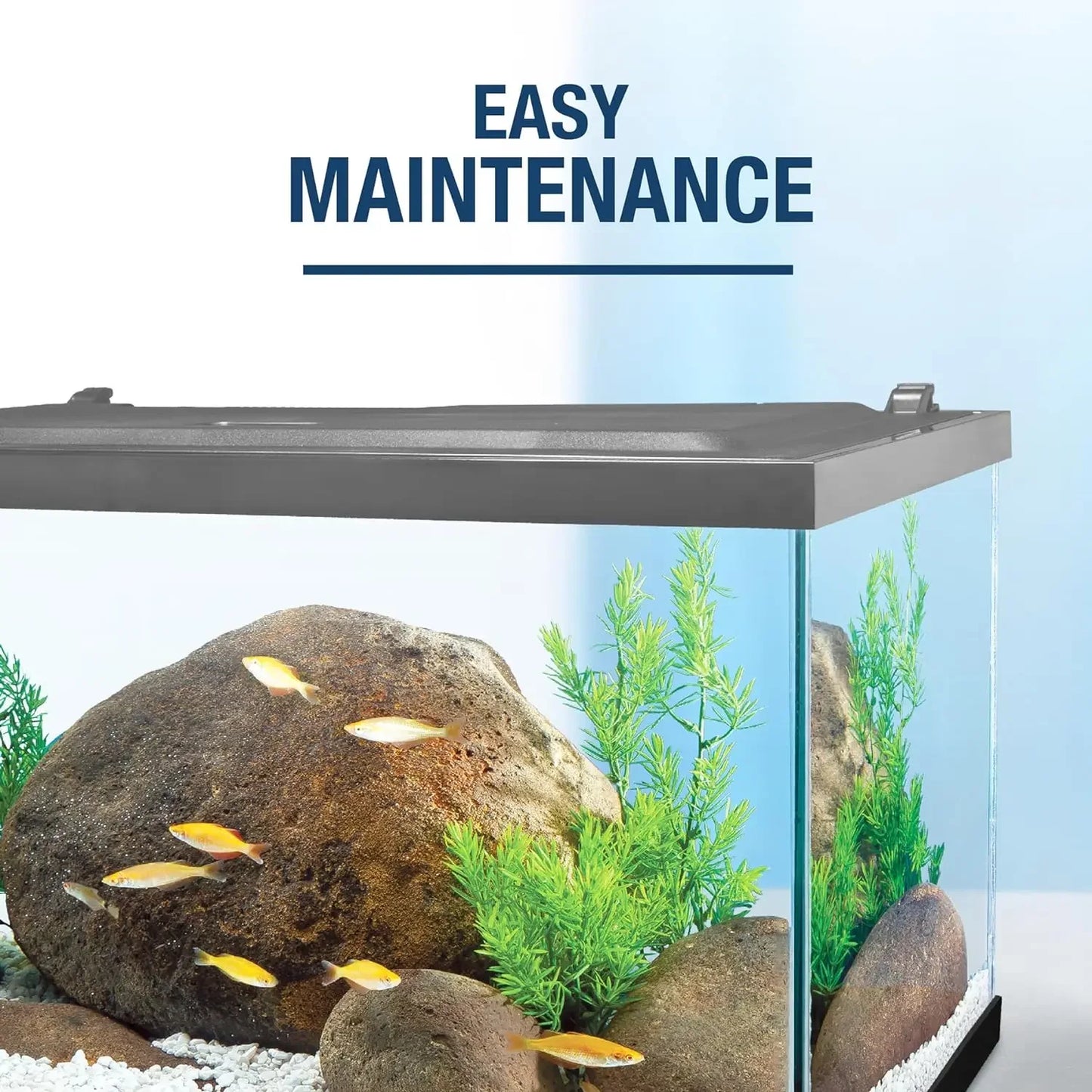 Aquarium 20 Gallon Fish Tank Kit, Includes LED Lighting and Decor