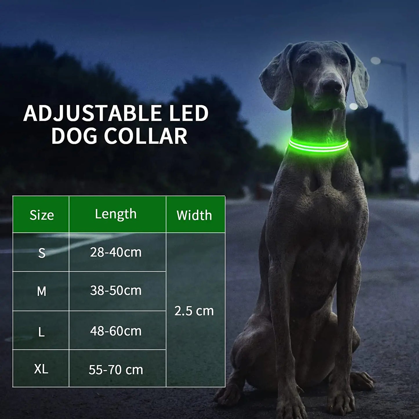 MASBRILL LED Rechargeable Dog Collar 100% Waterproof Glow in the Dark Flashing Light