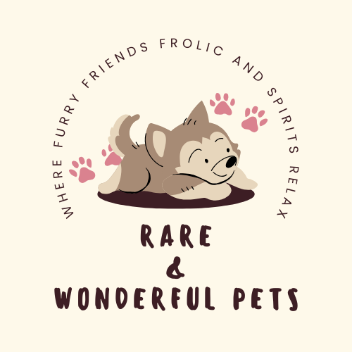 rareandwonderfulpets